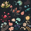 Set of flowers in vector. Floral design in vintage colors.